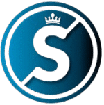 Success Strategies Consultant